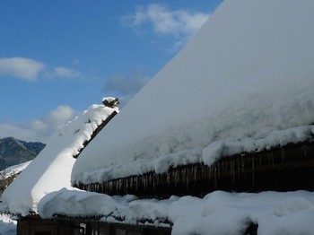 雪のかやぶき屋根.jpg